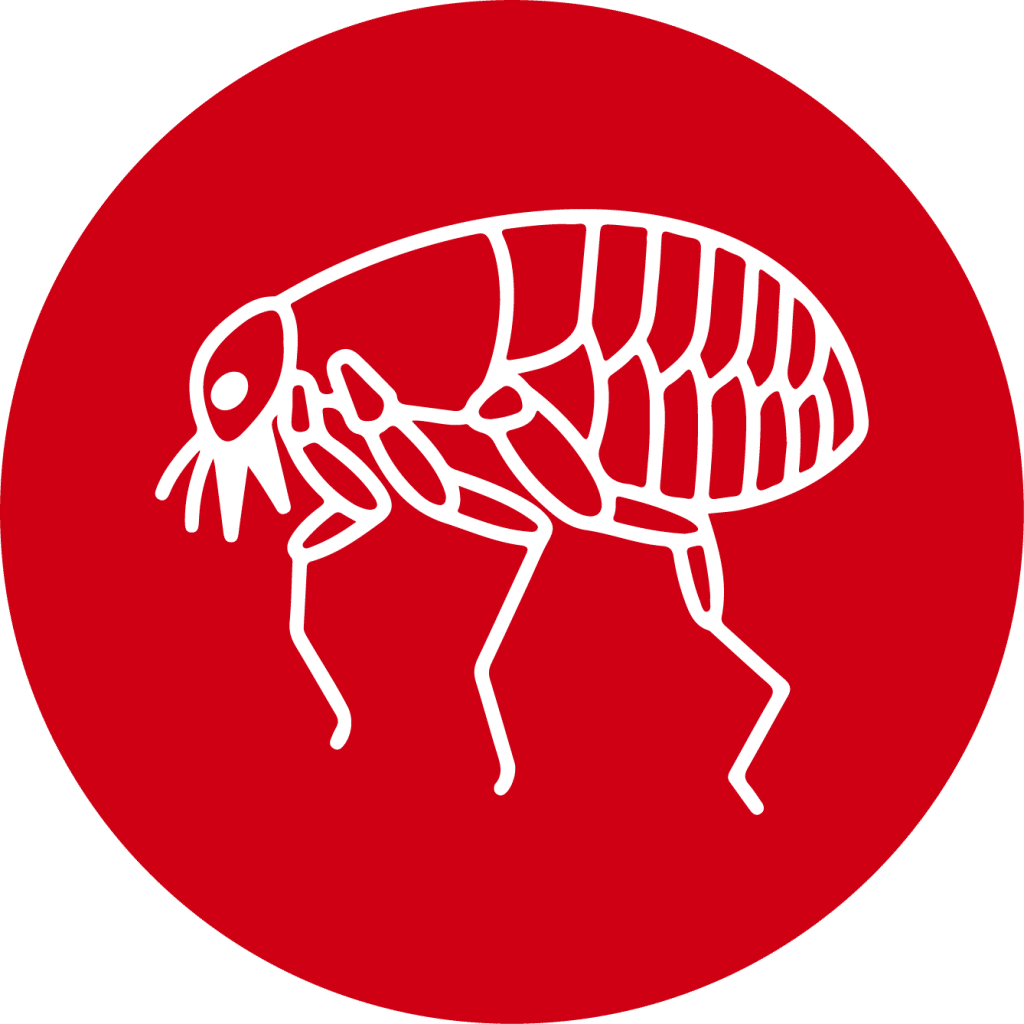 mobile-view-nexterminate-2